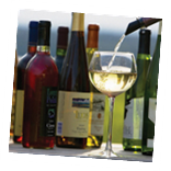 Finger Lakes Wine Festival Photo