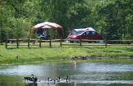 Fishing pond