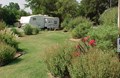 Garden Picture 1