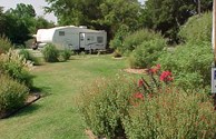Garden Picture 1