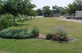 Garden Picture 2