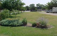 Garden Picture 2