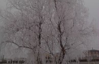Winter Time