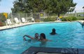 Fun in the Sun