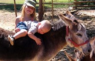 Petting Zoo