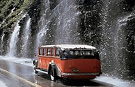 Glacier Park's Weeping Wall