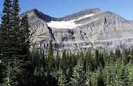 Piegan Glacier