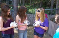 Petting Zoo