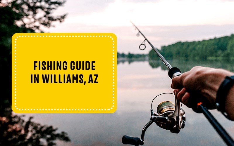 Fishing Guide in Williams, AZ