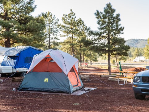 Tent Sites, Stay 2, Get 1 Free Photo