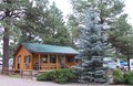 Our chalet is nestled among the pines.