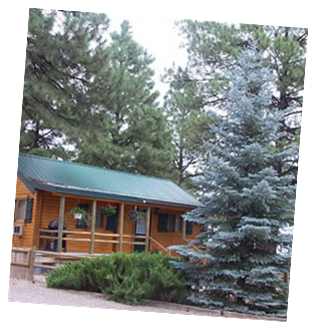 Our chalet is nestled among the pines.