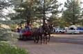 Kids Love our Free Hayrides!