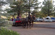 Kids Love our Free Hayrides!