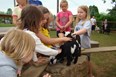 Petting Zoo Photo