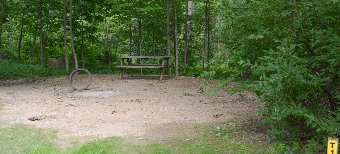 Back to nature. Enjoy these wooded sites in a secluded area of the park, but not far from facilities. Picnic tables & fire rings are located at the site for your convenience. Water is available.