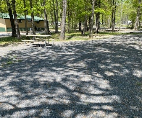 Spacious Back In Sites with water, 50amp electric, sewer and cable hookups. Some sites located close to the front of the park and near all the activities, and others that are in a more secluded and quiet area of the park.
