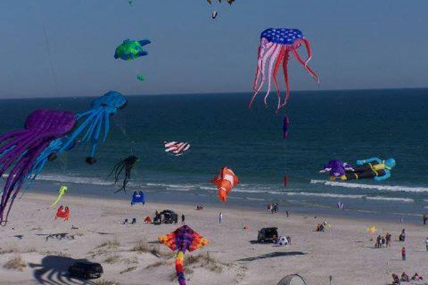 Cape Fear Kite Festival 2024 Photo