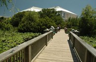 Outdoor walkway at the NC Aquarium