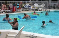 Fun at the Pool