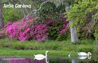Airlie Gardens
