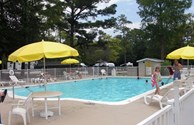 Summer Fun