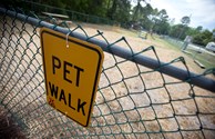Bark Park & Dog Run