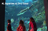 NC Aquarium at Fort Fisher