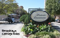 Horse-drawn Carriage Rides