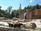 Assiniboia park zoo