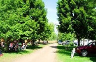 Hot summer days make for good camping....