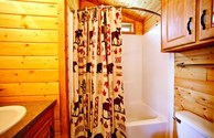 Restroom/shower in Studio Lodge