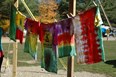 Colorful Creations Photo