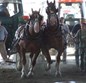 Lancaster Fair Photo