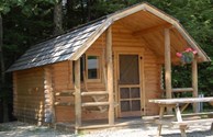 OUR CABINS ARE PET FRIENDLY!