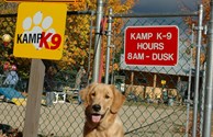 KAMP K9 DOG PARK!