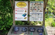 Mining Activity