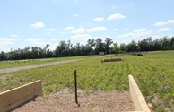 Horseshoe Pits
