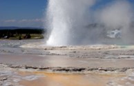 Geyser in the Upper Geyser Basin