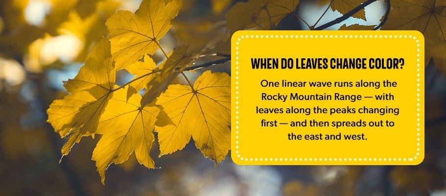 Us Leaf Change Map The Best Places Across The U.s. To See Fall Foliage This Autumn | Koa  Camping Blog