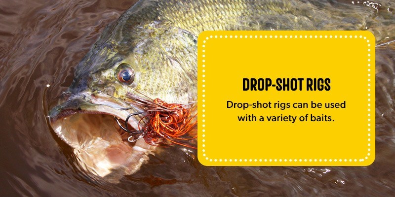 spring bass fishing lures