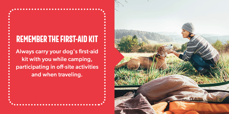 nearest vet to my current location