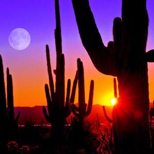 7 Reasons to Visit Arizona in the Spring Image