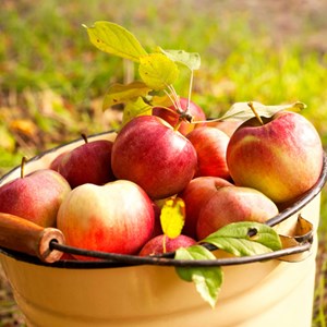 10 Pick Your Own Farms to Visit this Fall Image