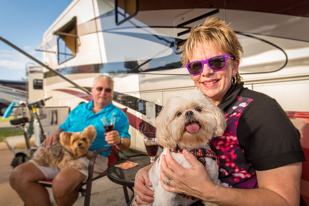 /blog/images/10-Tips-for-Caming-with-Dogs.png?preset=blogThumbnailCrop