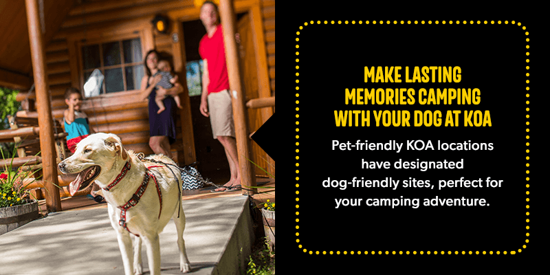 Making Memories One Campsite At A Time With Dog Camping Patio Rug, Pat —  GeckoCustom