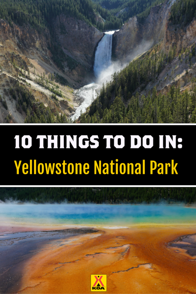 10 Things To Do in Yellowstone National Park