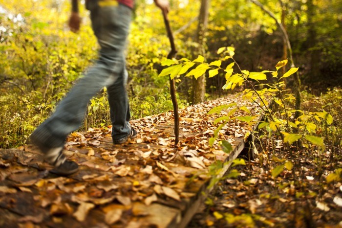 /blog/images/4561-700x466.jpg?preset=blogThumbnailCrop