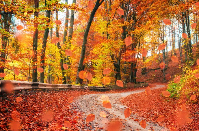 The Best Places Across the U.S. to See Fall Foliage This ...