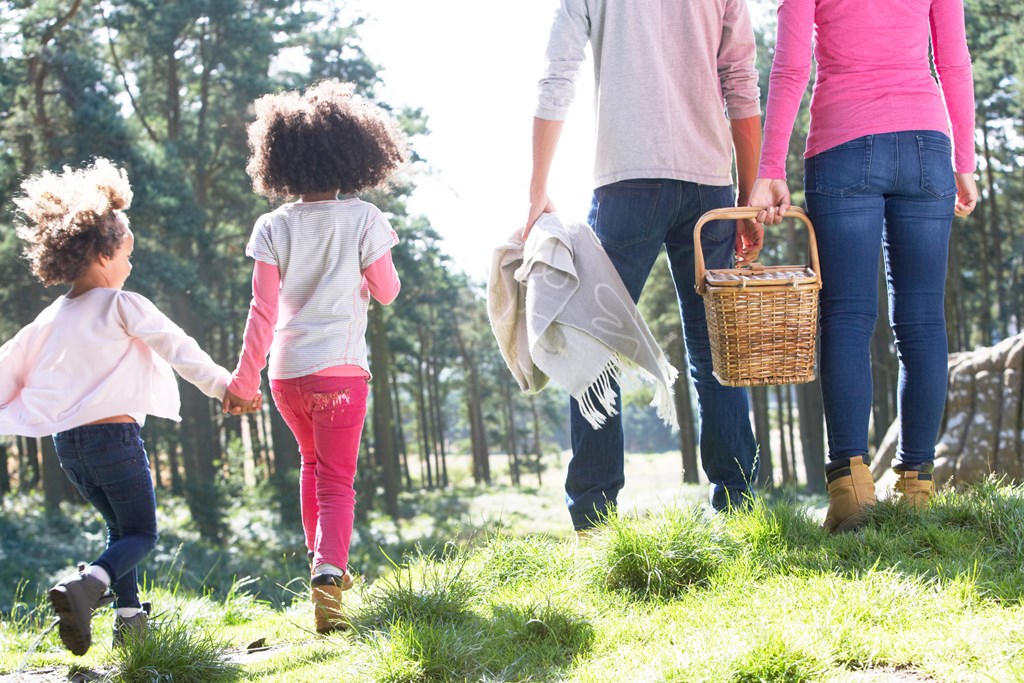 /blog/images/5-Perfect-Picnic-Spots.jpg?preset=blogThumbnailCrop
